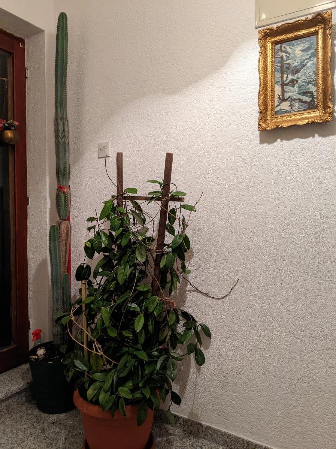 Apartmani Hrastik Bihać エクステリア 写真