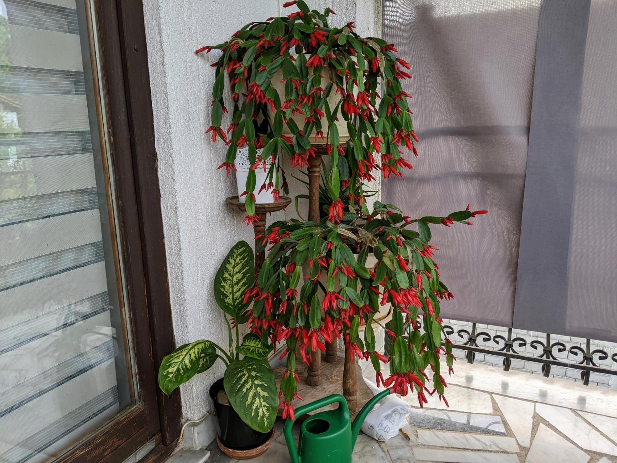 Apartmani Hrastik Bihać エクステリア 写真