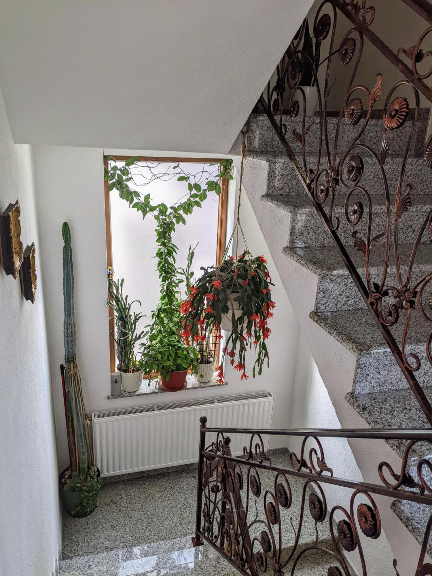Apartmani Hrastik Bihać エクステリア 写真
