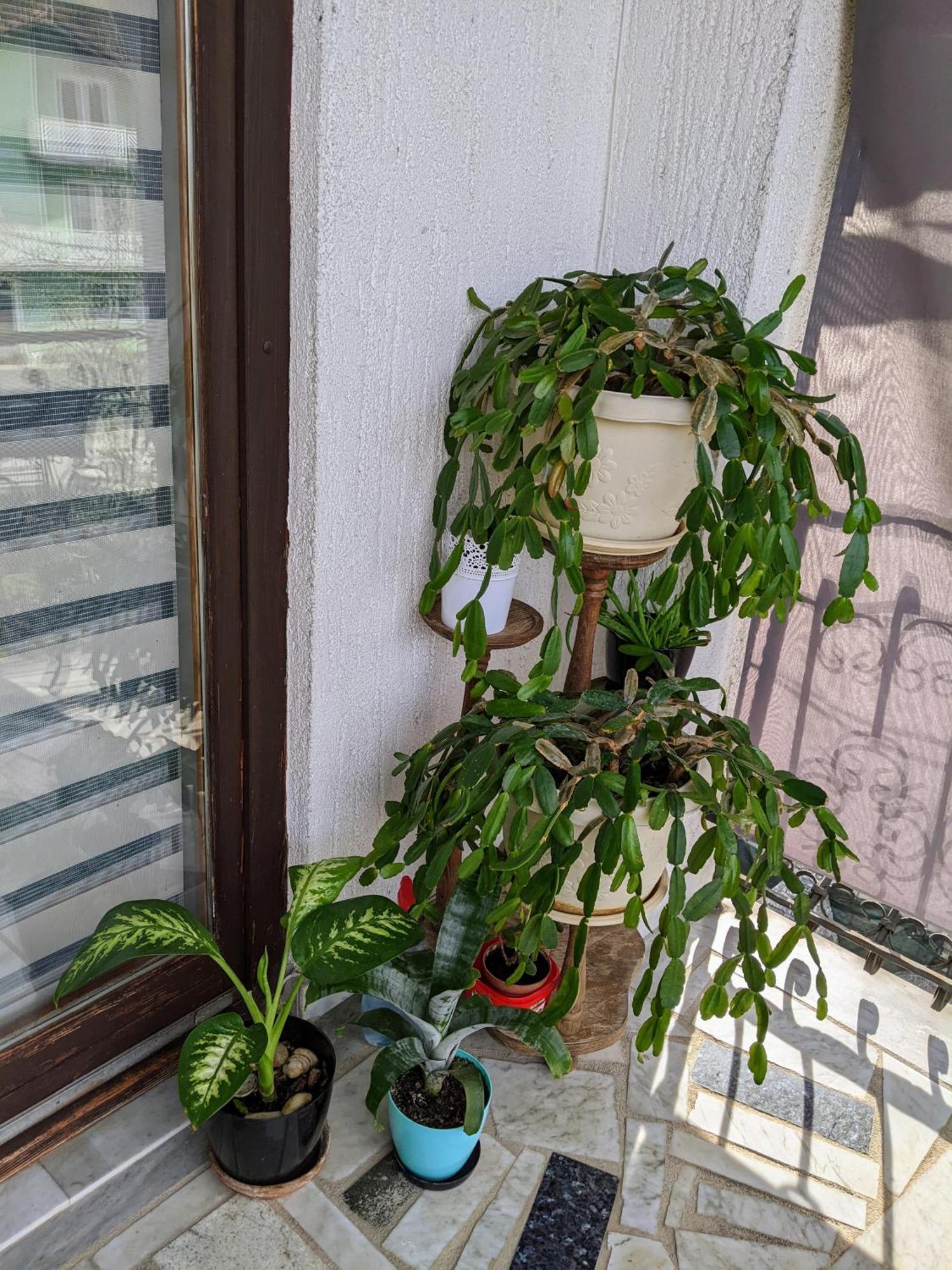 Apartmani Hrastik Bihać 部屋 写真