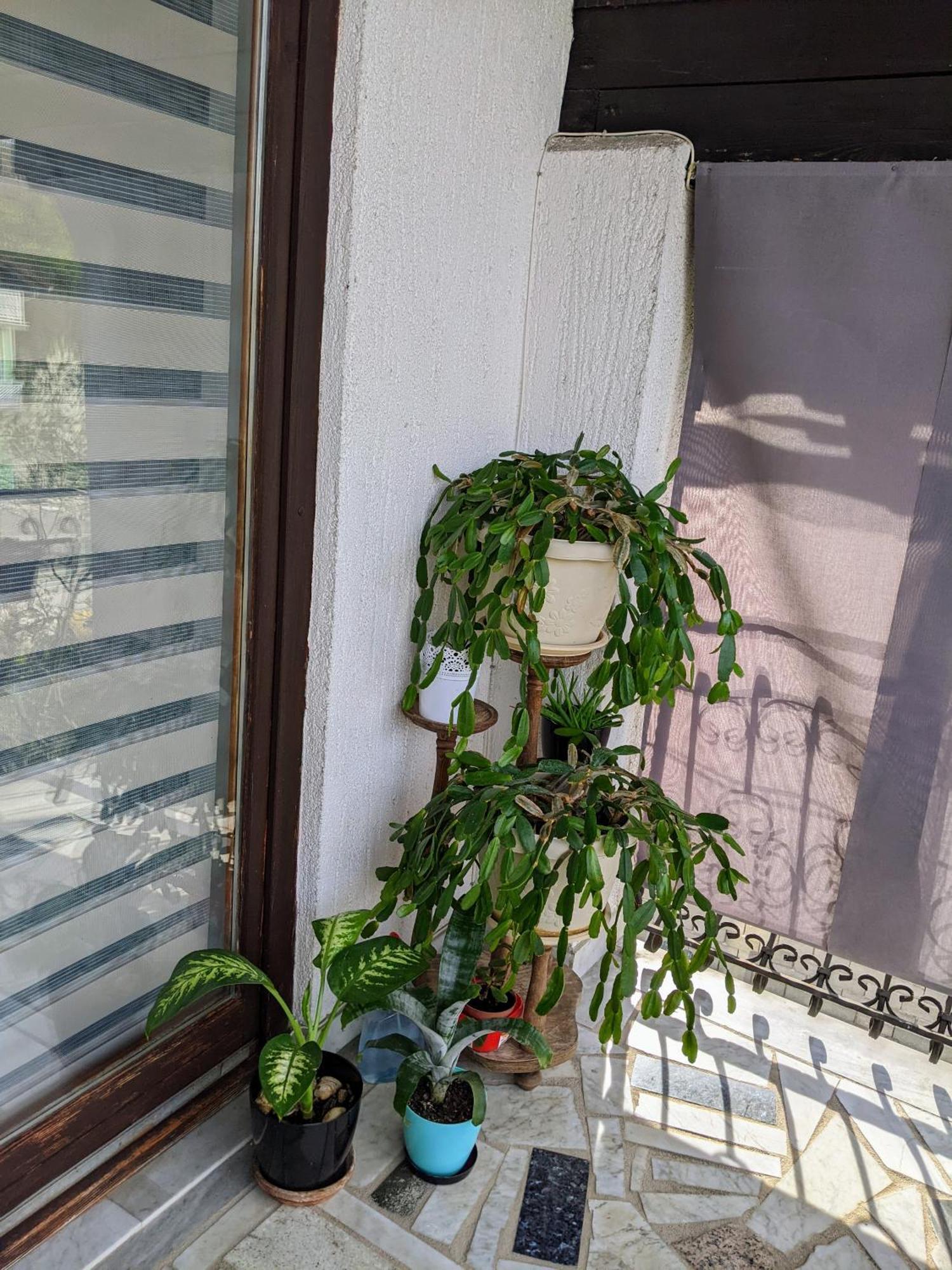 Apartmani Hrastik Bihać 部屋 写真